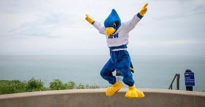 Concordia Mascot