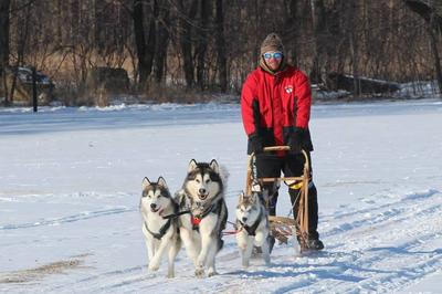 Winter Frolic